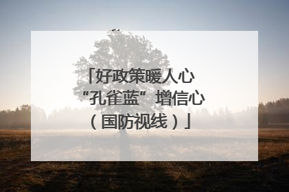 好政策暖人心 “孔雀蓝”增信心（国防视线）