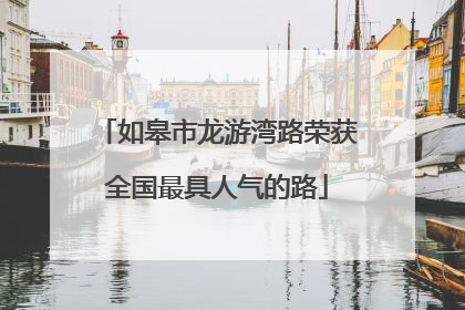 如皋市龙游湾路荣获全国最具人气的路