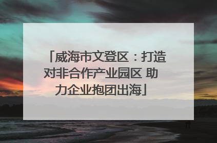 威海市文登区：打造对非合作产业园区 助力企业抱团出海