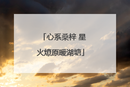 心系桑梓 星火燎原暖湖塘