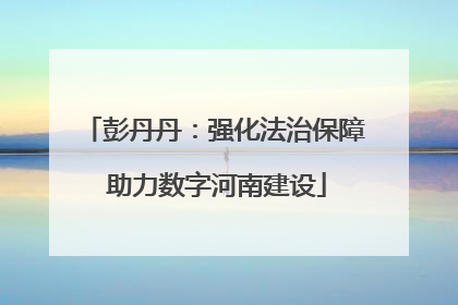 彭丹丹：强化法治保障 助力数字河南建设