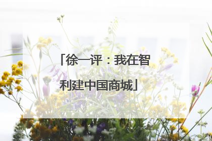 徐一评：我在智利建中国商城