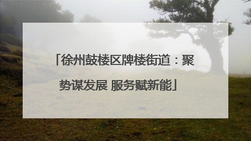 徐州鼓楼区牌楼街道：聚势谋发展 服务赋新能