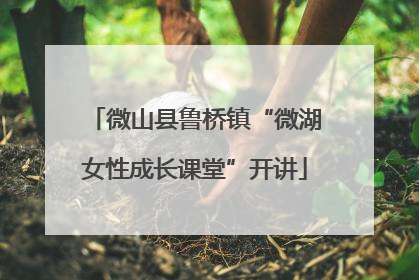 微山县鲁桥镇“微湖女性成长课堂”开讲