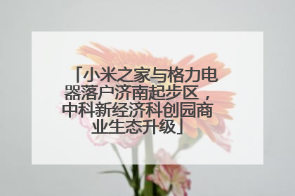 小米之家与格力电器落户济南起步区，中科新经济科创园商业生态升级