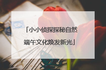 小小侦探探秘自然 端午文化焕发新光
