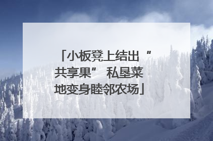 小板凳上结出“共享果” 私垦菜地变身睦邻农场