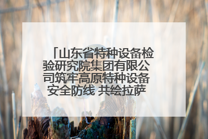 山东省特种设备检验研究院集团有限公司筑牢高原特种设备安全防线 共绘拉萨美好生活画卷