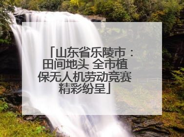 山东省乐陵市：田间地头 全市植保无人机劳动竞赛精彩纷呈