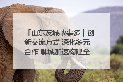山东友城故事多｜创新交流方式 深化多元合作 聊城加速构建全球友城新格局