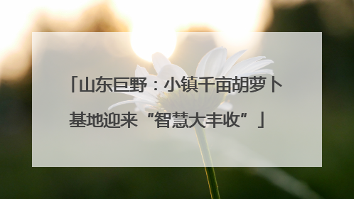 山东巨野：小镇千亩胡萝卜基地迎来“智慧大丰收”