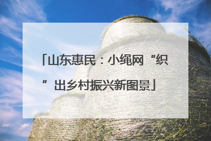 山东惠民：小绳网“织”出乡村振兴新图景