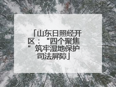 山东日照经开区：“四个聚焦”筑牢湿地保护司法屏障