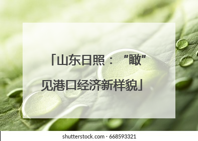 山东日照：“瞰”见港口经济新样貌