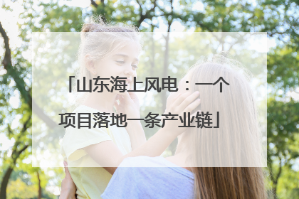 山东海上风电：一个项目落地一条产业链