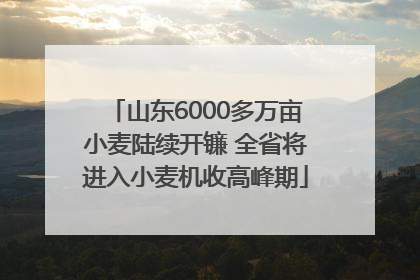 山东6000多万亩小麦陆续开镰 全省将进入小麦机收高峰期