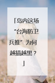 岛内这场“台海防卫兵推”为何越描越黑？
