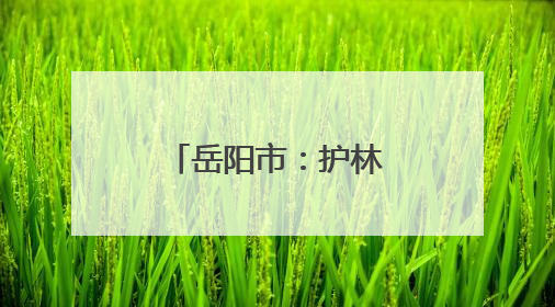 岳阳市：护林管理新路径全力守护青山绿水