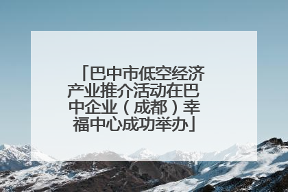 巴中市低空经济产业推介活动在巴中企业（成都）幸福中心成功举办