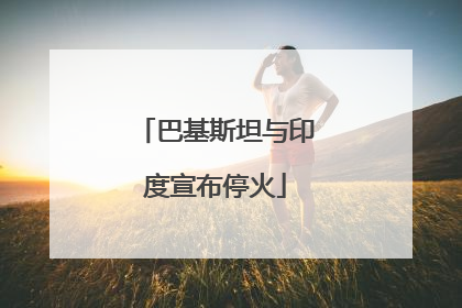 巴基斯坦与印度宣布停火