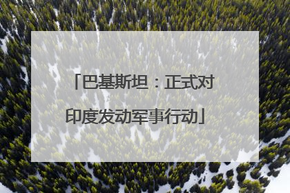 巴基斯坦：正式对印度发动军事行动