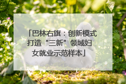 巴林右旗：创新模式 打造“三新”领域妇女就业示范样本