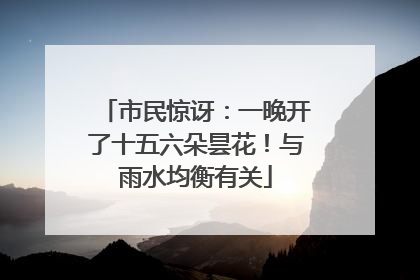 市民惊讶：一晚开了十五六朵昙花！与雨水均衡有关