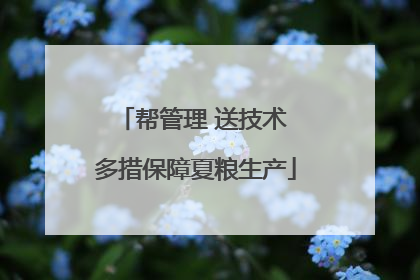 帮管理 送技术 多措保障夏粮生产