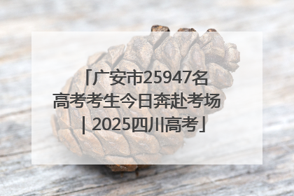 广安市25947名高考考生今日奔赴考场｜2025四川高考