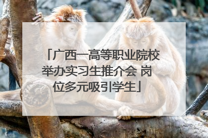 广西一高等职业院校举办实习生推介会 岗位多元吸引学生