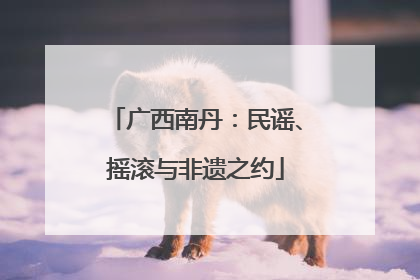 广西南丹：民谣、摇滚与非遗之约