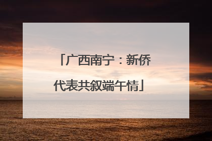 广西南宁：新侨代表共叙端午情
