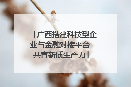 广西搭建科技型企业与金融对接平台 共育新质生产力