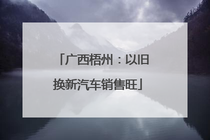 广西梧州：以旧换新汽车销售旺