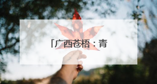 广西苍梧：青山绿水间绘就和美乡村新画卷