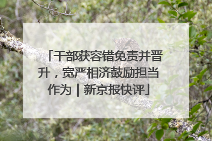 干部获容错免责并晋升，宽严相济鼓励担当作为｜新京报快评