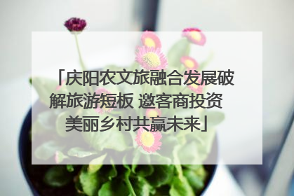庆阳农文旅融合发展破解旅游短板 邀客商投资美丽乡村共赢未来