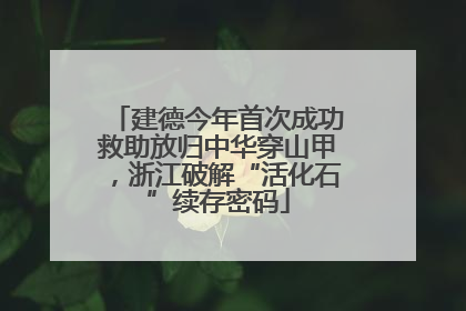 建德今年首次成功救助放归中华穿山甲，浙江破解“活化石”续存密码