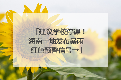 建议学校停课！海南一地发布暴雨红色预警信号→