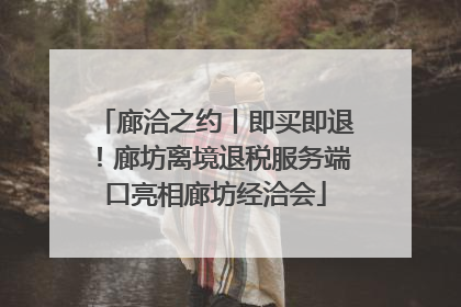 廊洽之约丨即买即退！廊坊离境退税服务端口亮相廊坊经洽会