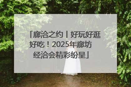 廊洽之约丨好玩好逛好吃！2025年廊坊经洽会精彩纷呈