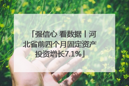 强信心 看数据丨河北省前四个月固定资产投资增长7.1%
