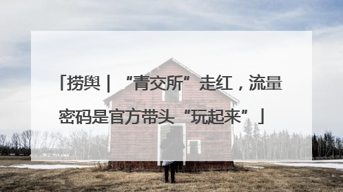 捞舆｜“青交所”走红，流量密码是官方带头“玩起来”