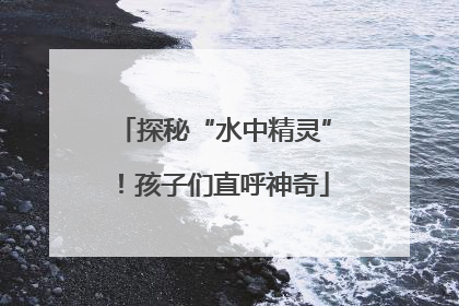 探秘“水中精灵”！孩子们直呼神奇