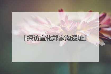 探访宣化郑家沟遗址