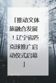 推动文体旅融合发展！辽宁省匹克球推广启动仪式启幕