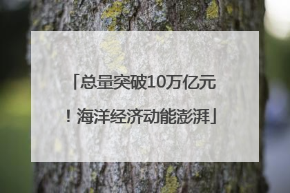 总量突破10万亿元！海洋经济动能澎湃