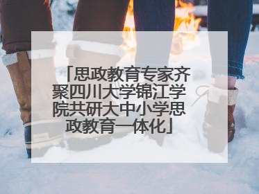 思政教育专家齐聚四川大学锦江学院共研大中小学思政教育一体化
