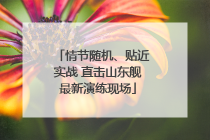 情节随机、贴近实战 直击山东舰最新演练现场