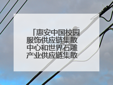 惠安中国校园服饰供应链集散中心和世界石雕产业供应链集散中心正式揭牌